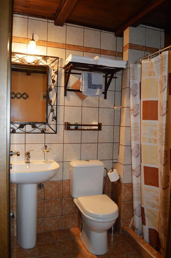 Hotel Dryades Elati  Luaran gambar