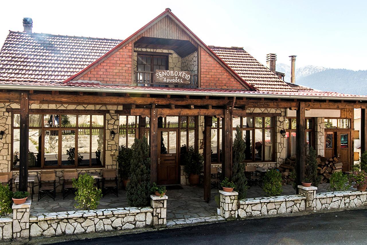 Hotel Dryades Elati  Luaran gambar